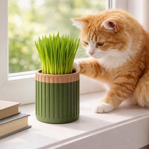 Cat Grass Self-Watering Planter Kit | Healthy Pet-Safe Grass for Cats | 3D Printed Planter with Soil & Seeds | Eco-Friendly Gift