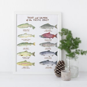 Trout and Salmon Art Print / Trout Art / Salmon Art / Pacific Northwest Art / Pacific Coast Art Print / Gifts for Him / Fishing / Fisherman