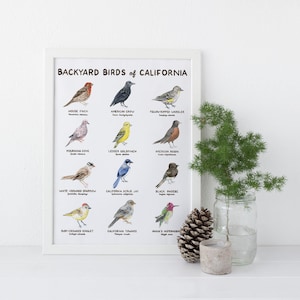 Backyard Birds of California Art Print / Arte de California / Arte de aves / Impresión de arte de aves / Impresión de arte de acuarela / Aves de acuarela / Arte de observación de aves