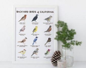 Backyard Birds of California Art Print / California Art / Bird Art / Birds Art Print / Watercolor Art Print / Watercolor Birds / Birding Art