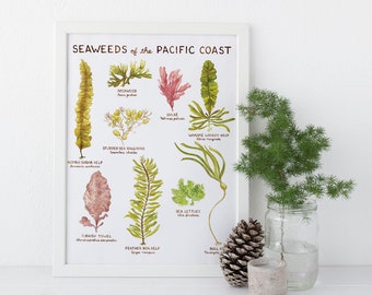 Seaweeds of the Pacific Coast Art Print / West Coast Art / Seaweed Art / Pacific Northwest Art / Watercolor Art Print / Beach House Art