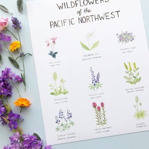 Pacific Northwest Wildflowers Art Print / Washington Art / Wildflowers Art / Pacific Northwest Art / Watercolor Art Print / Gifts for Her image 3