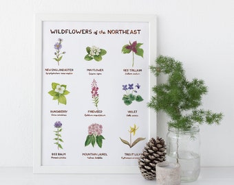 Northeast Wildflowers Art Print / Floral Art / New England Art / Wildflower Art Print / Gifts for Her / Botanical Art / Watercolor Art Print