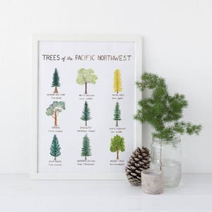 Pacific Northwest Trees Art Print / Washington State Art / Trees Art / Pacific Northwest Art / Washington Art Print / Gifts for Him / Trees