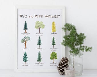 Pacific Northwest Trees Art Print / Washington State Art / Trees Art / Pacific Northwest Art / Washington Art Print / Gifts for Him / Trees