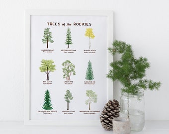 Trees of the Rockies Art Print / Tree Art / Rocky Mountains Art / Trees Art Print / Gifts for Her / Botanical Art / Watercolor Art Print