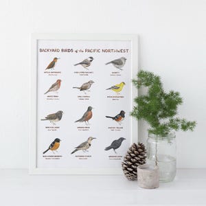 Pájaros del patio trasero del noroeste del Pacífico Impresión de arte / Arte del estado de Washington / Arte de aves / Arte del noroeste del Pacífico / Regalos para él / Aves
