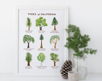 California Trees Art Print / Tree Art / California Art / Trees Art Print / Gifts for Her / Botanical Art / Watercolor Art Print