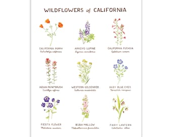 Wildflowers of California Art Print / California Art / Flower Art / Watercolor Art / Wildflower Art / Watercolor Wall Art / Gifts for Her