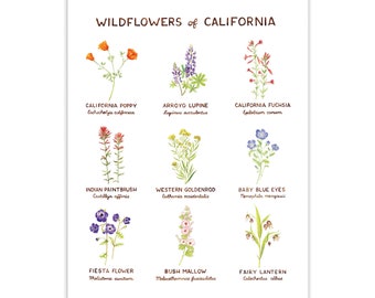 Wildflowers of California Art Print / California Art / Flower Art / Watercolor Art / Wildflower Art / Watercolor Wall Art / Gifts for Her