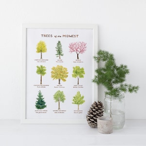 Midwest Trees Art Print / Tree Art / Midwest Art / Trees Art Print / Gifts for Her / Botanical Art / Watercolor Art Print