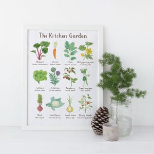 Kitchen Garden Art Print / Gardening Art / Culinary Art / Watercolor Art Print / Botanical Art / Vegetable Art Print / Vegetable Garden Art