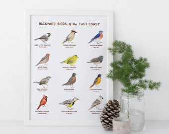 East Coast Backyard Birds Art Print / East Coast Art / Bird Art / Birds Art Print / Watercolor Art Print / Watercolor Birds / Birding Art