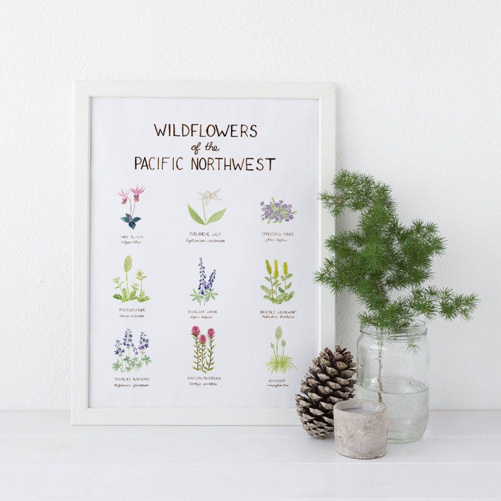 Wildflowers of the Northwest Illustration Flower Print Art Print