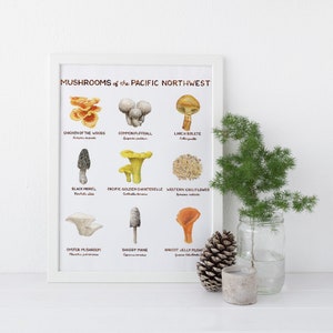 Pacific Northwest Mushrooms Art Print / Fungi Art / Pacific Northwest Art / Mushroom Art Print / Gifts for Him / Mushrooms