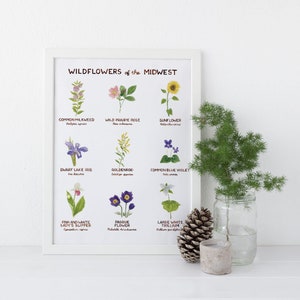 Midwest Wildflowers Art Print / Floral Art / Midwest Art / Wildflower Art Print / Gifts for Her / Botanical Art / Watercolor Art Print