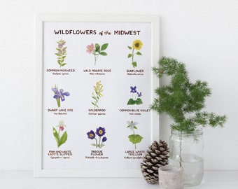 Midwest Wildflowers Art Print / Floral Art / Midwest Art / Wildflower Art Print / Gifts for Her / Botanical Art / Watercolor Art Print