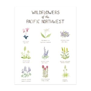 Pacific Northwest Wildflowers Art Print / Washington Art / Wildflowers Art / Pacific Northwest Art / Watercolor Art Print / Gifts for Her image 7