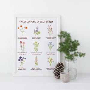 Wildflowers of California Art Print / California Art / Flower Art / Watercolor Art / Wildflower Art / Watercolor Wall Art / Gifts for Her