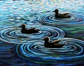 Three Ducks Swimming - Print