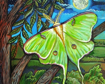 Luna Moth - Print