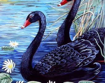 Black Swans - Print