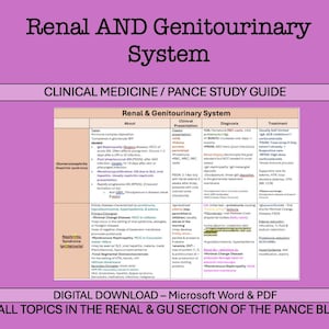 May include: A pink and white study guide for the PANCE exam, focusing on the renal and genitourinary system. The guide includes information about the anatomy, physiology, and pathology of the kidneys and urinary tract. It also covers common clinical presentations, diagnostic tests, and treatment options for various renal and genitourinary conditions.