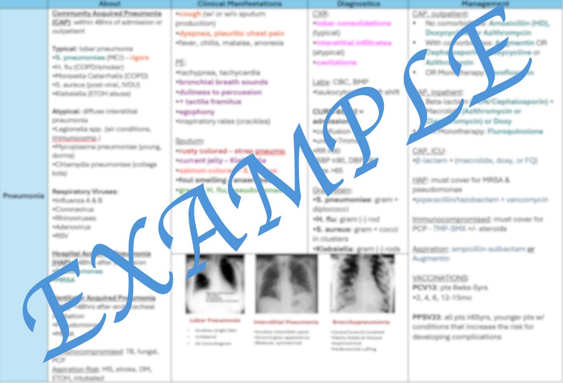 Pance Study Guide Book Pulmonary System Complete Study Guide / PANCE Blueprint / Chart ...