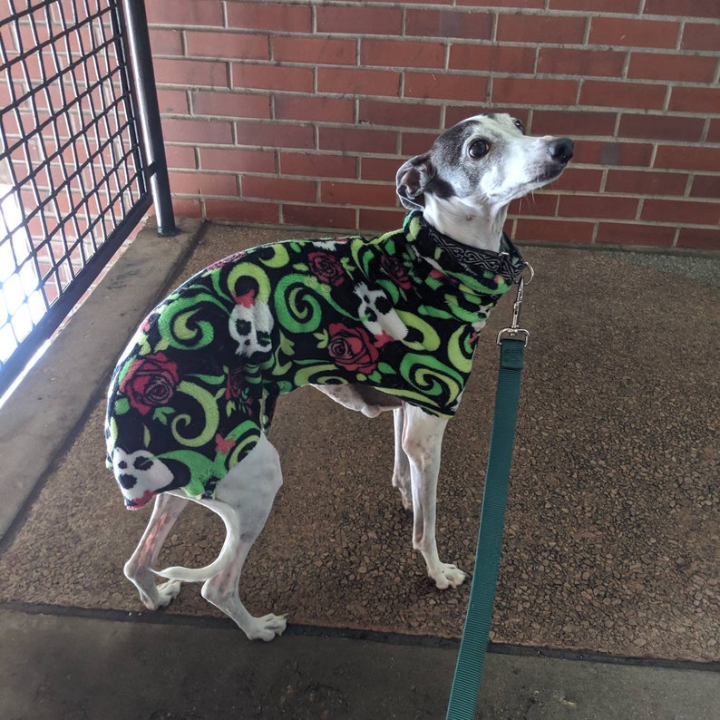 LARGE Italian Greyhound Dog Coat Digital Print at Home Sewing Pattern Designed to be Sewn From Polar Fleece image 2