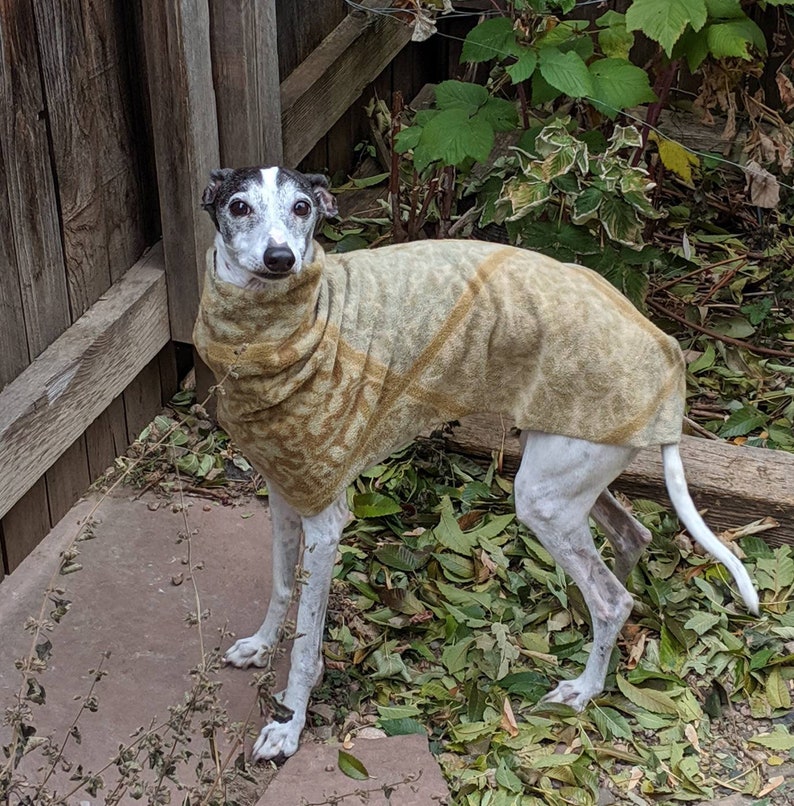 LARGE Italian Greyhound Dog Coat Digital Print at Home Sewing Etsy