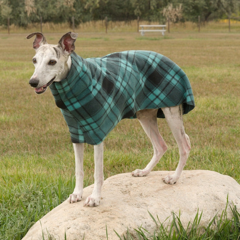 ALL SIZES Sighthound Dog Coat DIGITAL Print at Home Sewing Pattern Designed to be sewn from Polar Fleece image 4