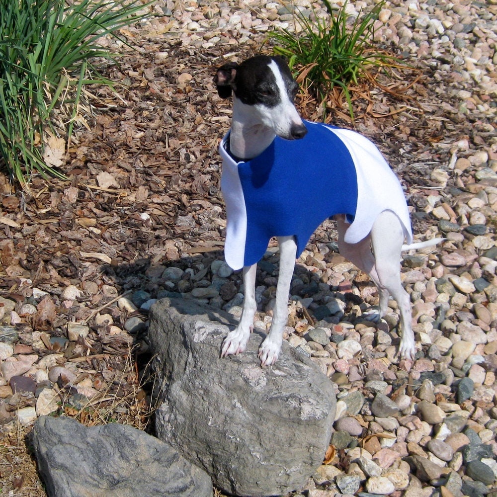 Medieval Barding Heraldic Tabard Italian Greyhound Dog Costume Etsy