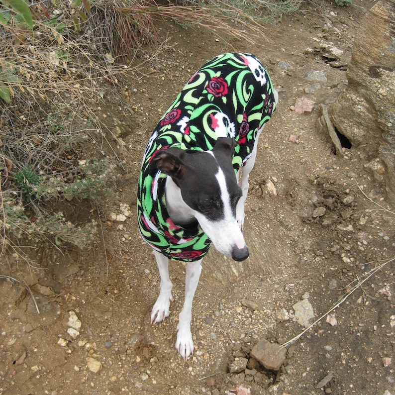 LARGE Italian Greyhound Dog Coat Digital Print at Home Sewing Pattern Designed to be Sewn From Polar Fleece image 3