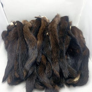 May include: A pile of brown mink fur tails. The fur is soft and fluffy, and the tails are all about the same length.