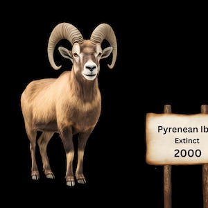 26 Extinct Animal HD Transparent Pngs | Lost Species Collection (10,000 ...