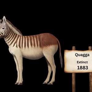 26 Extinct Animal HD Transparent Pngs | Lost Species Collection (10,000 ...