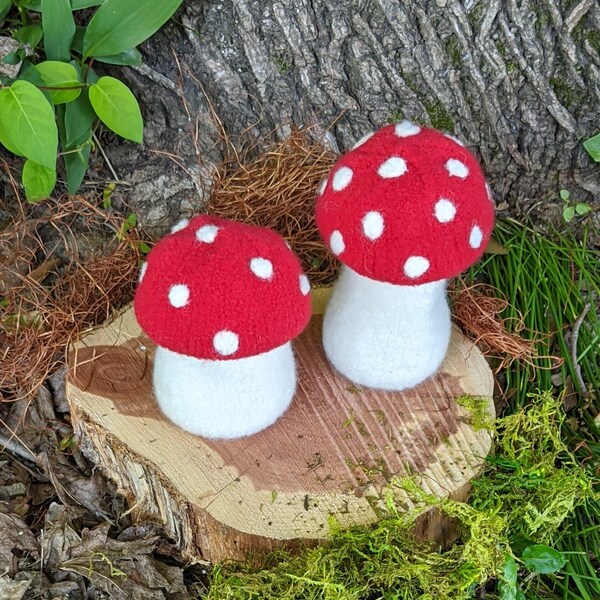 Knit Mushroom Pattern Etsy