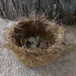 Felted Bird Nest Mini-bowl image 2