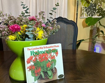 The Carefree Way To Beautiful Plants, Hydroculture by Gabriele Vocke