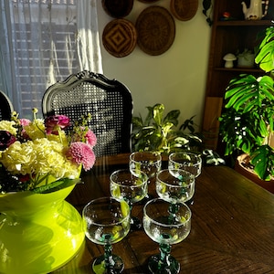 six libbey cactus margarita glasses