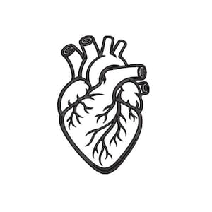 Op de afbeelding: Een zwart-witte lijntekening van een menselijk hart, met gedetailleerde aderen en slagaders. Het hart is afgebeeld tegen een effen witte achtergrond. De illustratie is een gestileerde weergave van het orgaan.