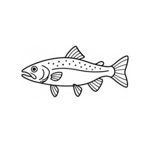 Fish Embroidery | Rainbow Trout Outline | Machine Embroidery File Download