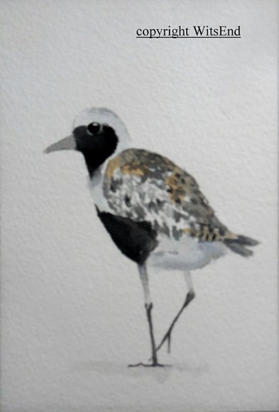 Oiseaux Deau Peinture Aquarelle Originale Petit Oiseau Pluvier De Série - 