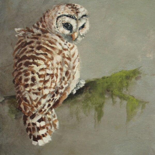bird Owl painting original ooak FREE usa shipping TREASURY item