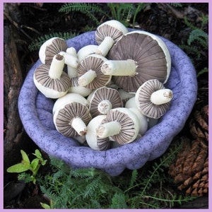 Mushroom Sewing Pattern ,  Mushrooms, Sewing Pattern, Primitive Mushrooms