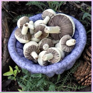Mushroom Sewing Pattern: Primitive Toadstool Ornies (PDF Pattern)