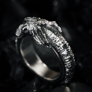 Könnte beinhalten: Ein detaillierter Silberring mit strukturiertem Design. Der Ring hat ein krallenartiges Motiv mit aufwendigen Details am Band und an der Kralle selbst. Der Ring ist vor einem dunklen Hintergrund platziert, der seinen metallischen Glanz hervorhebt.