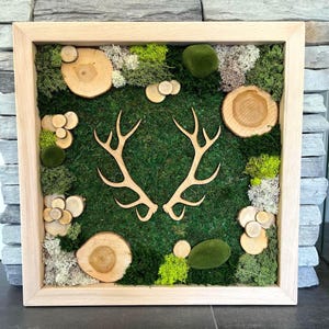 Moss picture, moss, wall picture, wooden frame, moss picture with wooden frame, wall decoration, with wooden motif