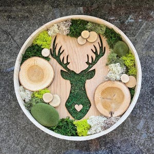 Moss picture, moss, round moss picture, wooden frame, wall decoration, mural