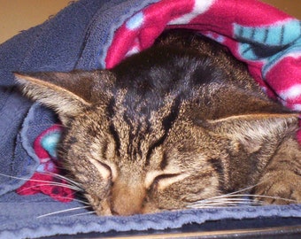 Animal Rescue--Please HELP Rescue Kitty Dumpty